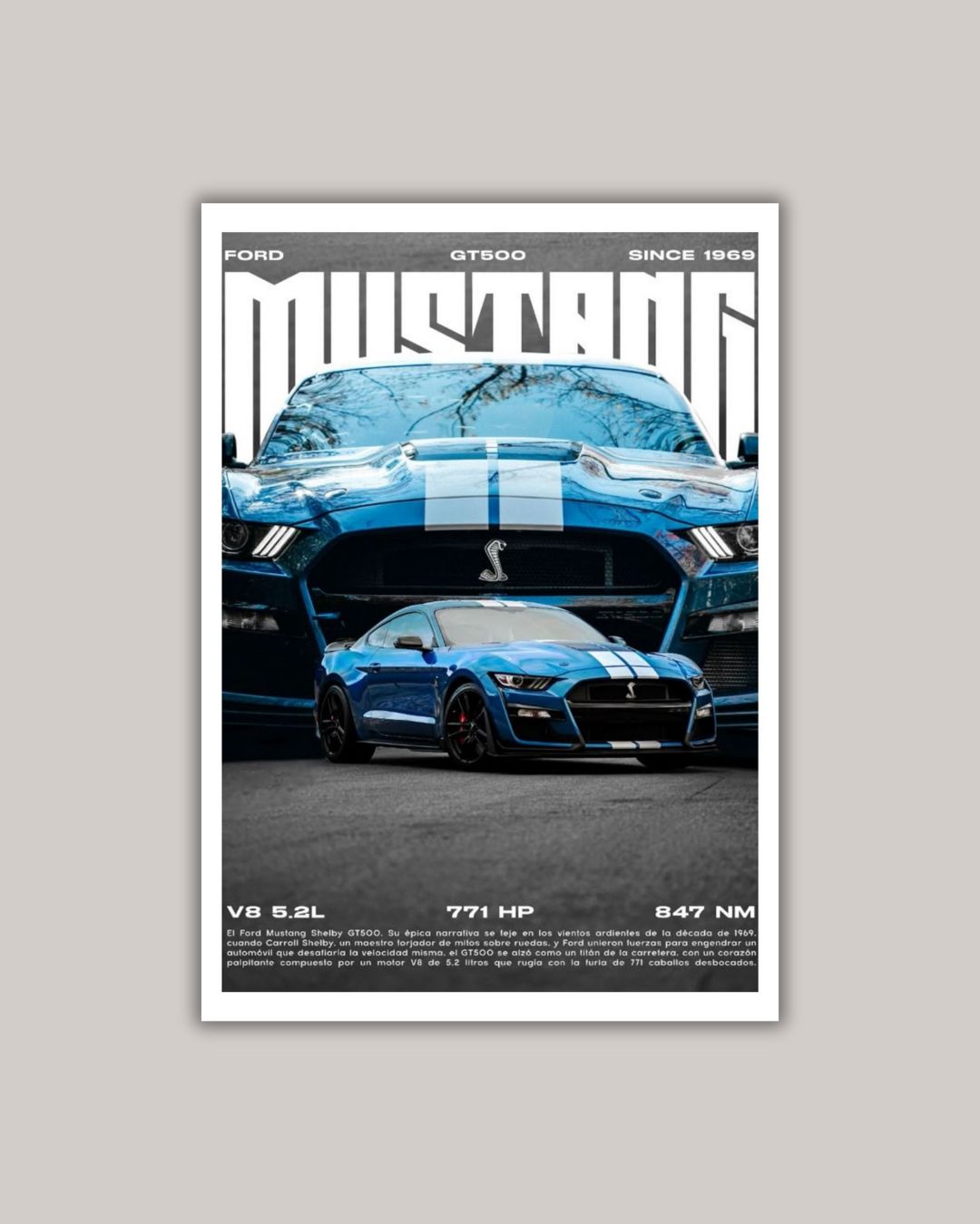 Poster Set 1 (Pack of 10)