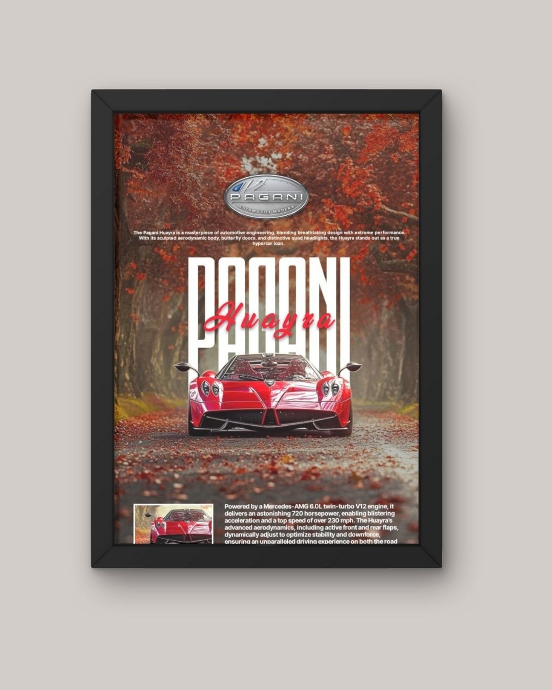 Pagani Car Frame